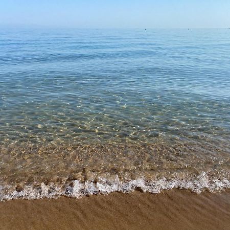 Primera Linea De Playa Julio Y Agosto Min 7 Dias De Lunes A Lunes デニア エクステリア 写真